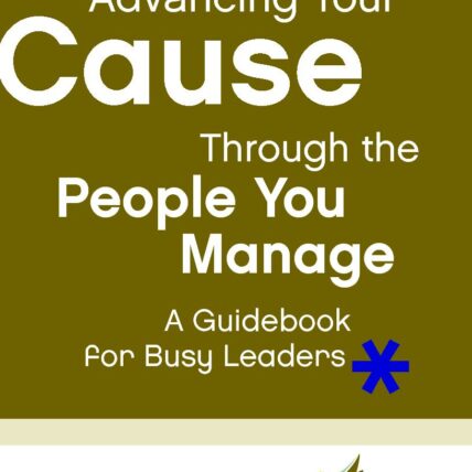 Advancing your cars through the people who manage: a guide book for busy leaders