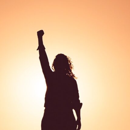 Person in silhouette with their fist raised against an orange sky